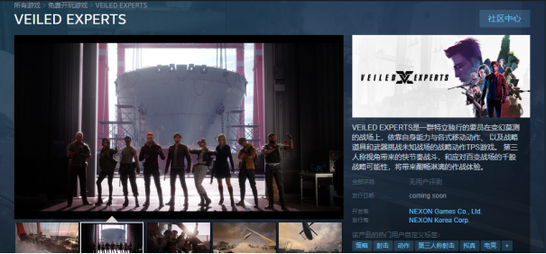 《VEILED EXPERTS》B测下载预约配置详解免费加速器推荐123.png