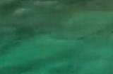 《黑旗》与《碧海黑帆》对比视频 看看有何差别