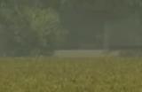 《模拟农场25》夏季种植要做事情介绍