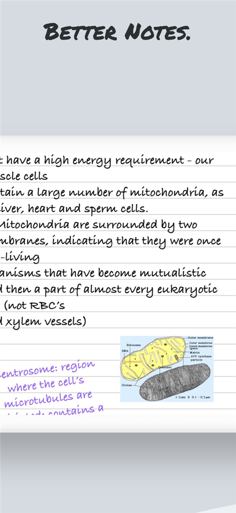 PDF笔记编辑器1.png