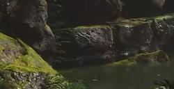 《黑神话：悟空》老山参怎么获得