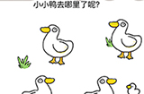 脑洞我最大第33关攻略  小小鸭去哪里了呢