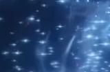 《艾尔登法环》熔炉百相之花祷告获得方法介绍