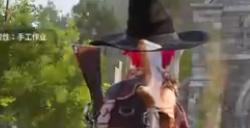 《幻兽帕鲁》第十期翠竹溪谷流程通关攻略