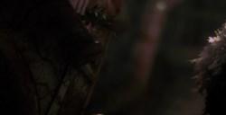 《逃生：试炼》欺骗达人怎么完成