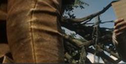 《荒野大镖客2》切罗尼亚教传教者位置在哪传教者事件攻略
