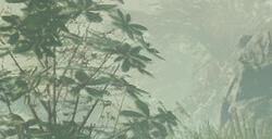 《绝地潜兵2》在线玩家数飙升 打破一项历史纪录