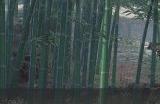 《逆水寒手游》金锤震岳怎么获得 金锤震岳获取攻略