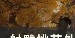 《射雕》桃花派输出武器选什么 桃花外功重剑输出攻略