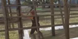 《颂钟长鸣》游戏暗木通道有什么资源