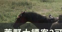 《荒野大镖客2》冷兵器都在哪 可收集冷兵器攻略大全