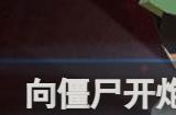 向僵尸开炮永久可用兑换码 100000钻石领取方法