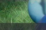 《幻兽帕鲁》食物怎么获得 食物获取方法详情