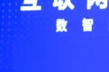 数字栩生受邀参加2023全球数字经济大会互联网3.0高峰论坛,CTO翁冬冬发表主题演讲