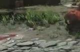 《明末：渊虚之羽》神火长枪获得方法介绍