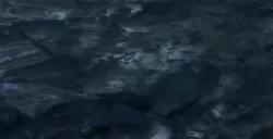 《光与影：33号远征队》唱片收集攻略 全唱片位置攻略