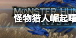 怪物猎人曙光艾露猫BUG怎么解决  艾露猫BUG解决方法