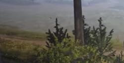 《颂钟长鸣》西部荒原附近有什么资源