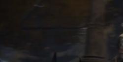 《艾尔登法环》彼鲁姆大道黑夜骑兵BOSS图鉴