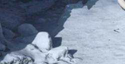 《荒野起源》下载安装教程介绍