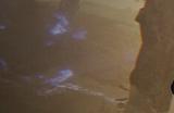 《艾尔登法环：黑夜君临》隐者技能特点介绍