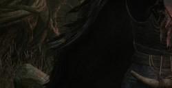 《堕落之主》贵妇人套得到途径