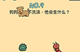 脑力黑洞第9关攻略  狗狗不洗澡他会生什么