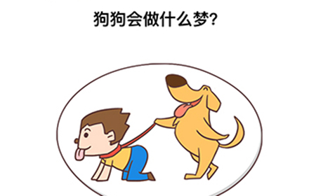 最强大脑3第8关攻略  狗狗会做什么梦