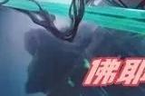 金铲铲之战s9佛耶戈怎么玩 s9佛耶戈阵容搭配推荐
