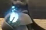 幻兽帕鲁怎么抓塔主boss 塔主boss捕捉方法图文一览