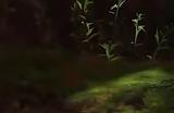 《碧蓝幻想：RELINK》最终武器佐西姆斯属性怎么样