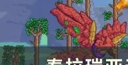 《泰拉瑞亚》无限水怎么造 无限水建造攻略