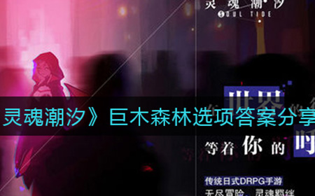 灵魂潮汐巨木森林选项答案是什么  巨木森林选项答案分享