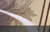《崩坏星穹铁道》忘却之庭怎么配队 忘却之庭配队公式及角色推荐攻略