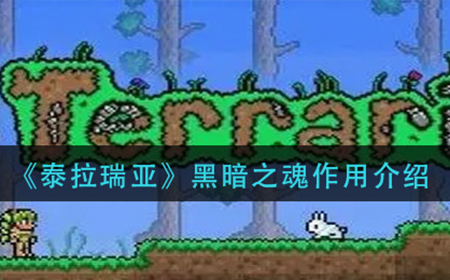 泰拉瑞亚黑暗之魂有什么用  黑暗之魂作用介绍