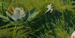 和平精英飞星瀑布的宝藏挑战怎么做