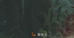《怪物猎人：荒野》大世界狩猎联机教程分享