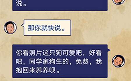 王蓝莓的幸福生活第1-17关攻略  王蓝莓的幸福生活1-17