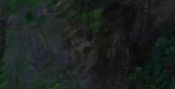 逆水寒手游三清山奇遇攻略 三清山奇遇汇总大全