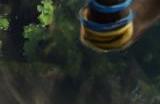 《幻兽帕鲁》新手攻略指南 据点建造帕鲁捕捉配种生蛋等玩法技巧