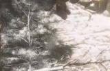 《黑神话：悟空》青铜吊腿要什么材料
