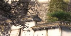 怕差评影响销量？育碧取消《刺客信条：影》媒体预览