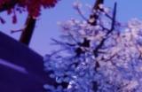 《努努之歌：英雄联盟外传》史上最大最危险雪球怎么解锁