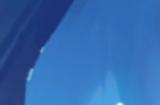 树洞奇谈第六期：今天是超真诚的创化测试坦白局