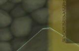 塞尔达传说王国之泪飞天技能怎么解锁 通天术解锁方法