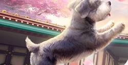 宠爱一夏!《剑侠世界3》百变DIY宠物系统首曝