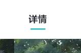 《铃兰之剑》颠覆战棋新视界，NeoPixel美学发起像素文艺复兴