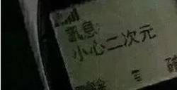 cp29结束了，我最羡慕的竟然是一只猪