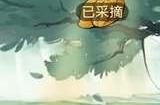 寻道大千大千阁怎么开启 大千阁玩法介绍