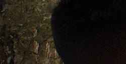 《潜行者2：切尔诺贝利之心》新截图游戏画面太震撼